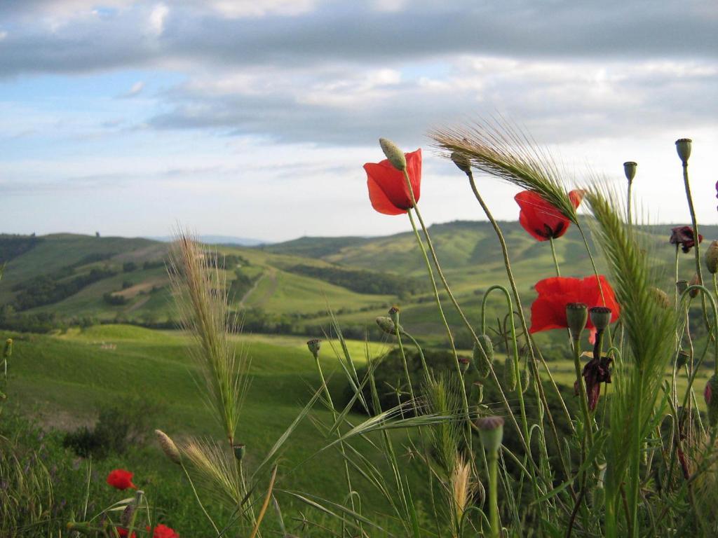 Vila Certine Agriturismo Asciano Exteriér fotografie