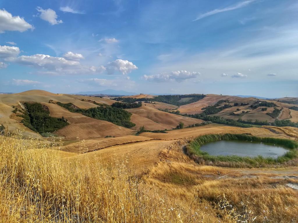 Certine Agriturismo Asciano Exteriér fotografie