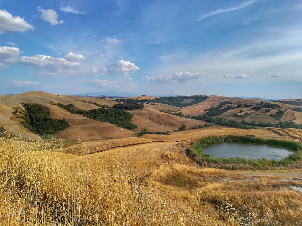 Vila Certine Agriturismo Asciano Exteriér fotografie