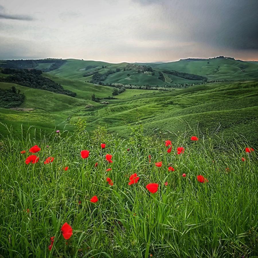 Certine Agriturismo Asciano Exteriér fotografie